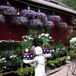 jessicas-garden-07