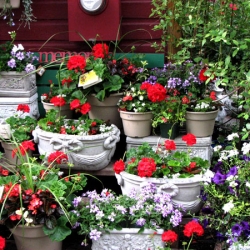 jessicas-garden-08