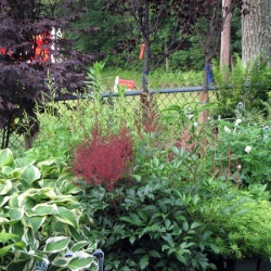 jessicas-garden-19
