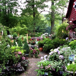 jessicas-garden-21