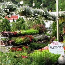 jessicas-garden-23