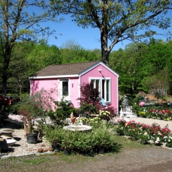 jessicas-garden-37