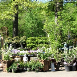 Organic Lawn Care Products