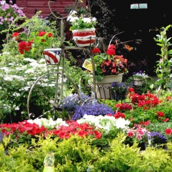 jessicas-garden-48