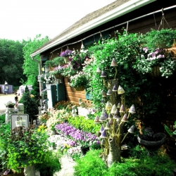 jessicas-garden-51