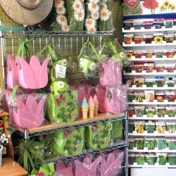 jessicas-garden-53