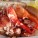 Lobster and Ice Cream Shack