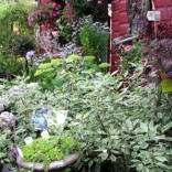 Garden Center