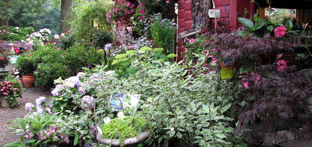 Garden Center