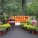 Fall Fun at Jessica’s Garden