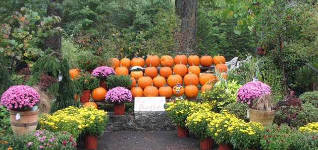 Fall Fun at Jessica’s Garden