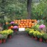 Fall Fun at Jessica’s Garden