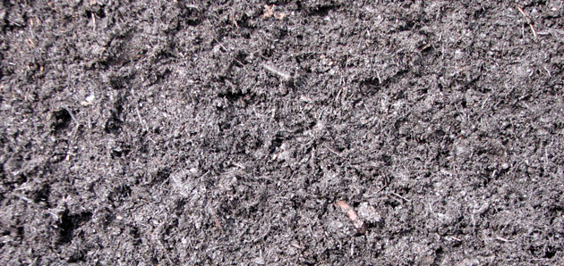 Organic Compost