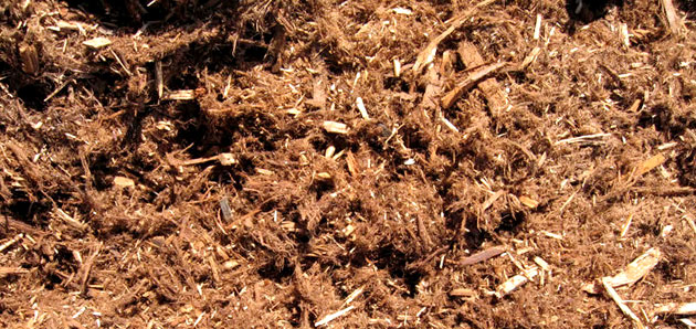 Cedar Bark Mulch