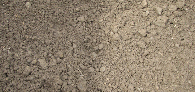 Topsoil